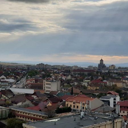 Exclusive Hortensiei Бая Маре Екстериор снимка